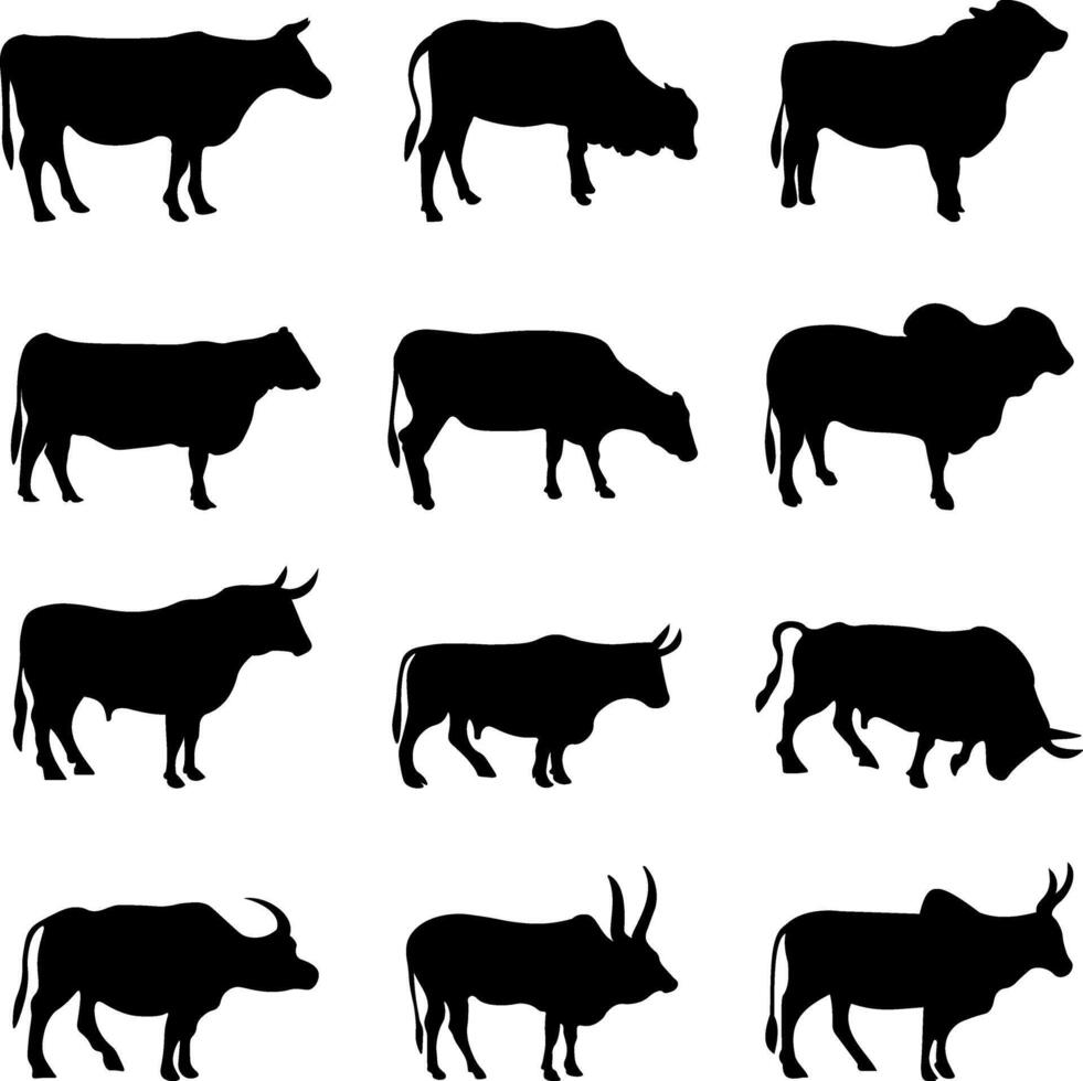 taureau ou vache silhouettes ensemble collection vecteur