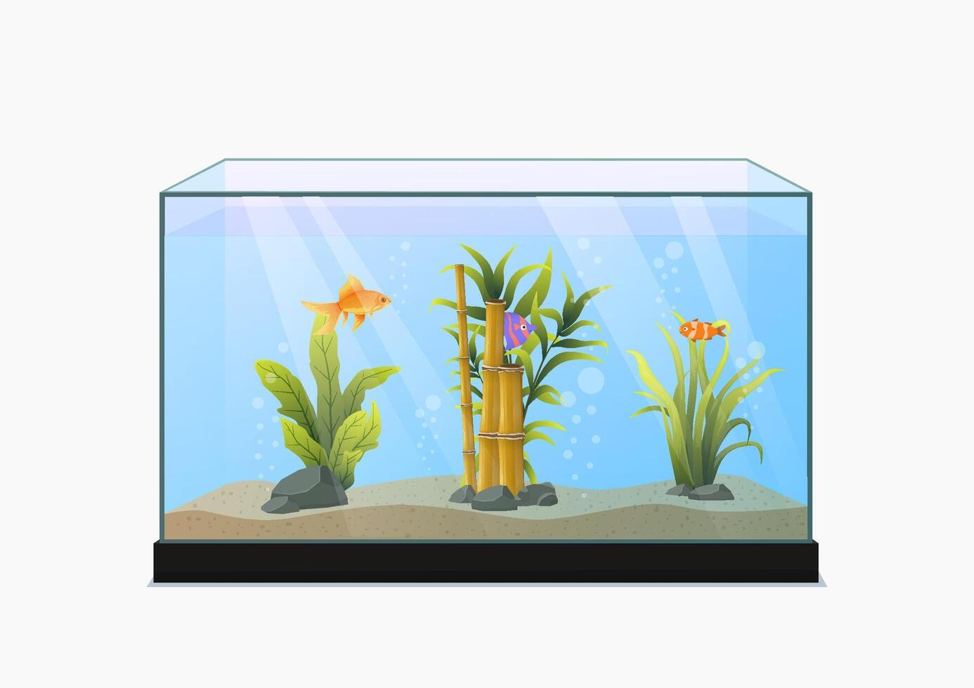 magnifique poisson dans aquarium avec l'eau plante. vecteur