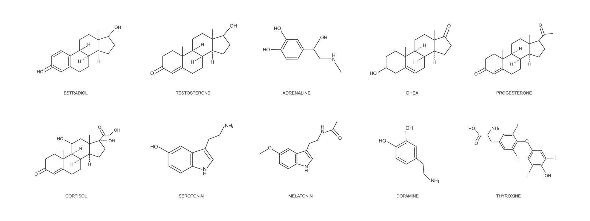 différent hormones Icônes ensemble. estradiol, la progestérone, la testostérone, adrénaline, dhé, cortizol, la dopamine, la sérotonine, la mélatonine, thyroxine chimique moléculaire structure vecteur