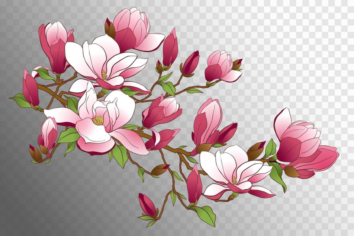 magnolia branche. illustration pour fabrication mariage faire-part, toutes nos félicitations sur international aux femmes journée. vecteur