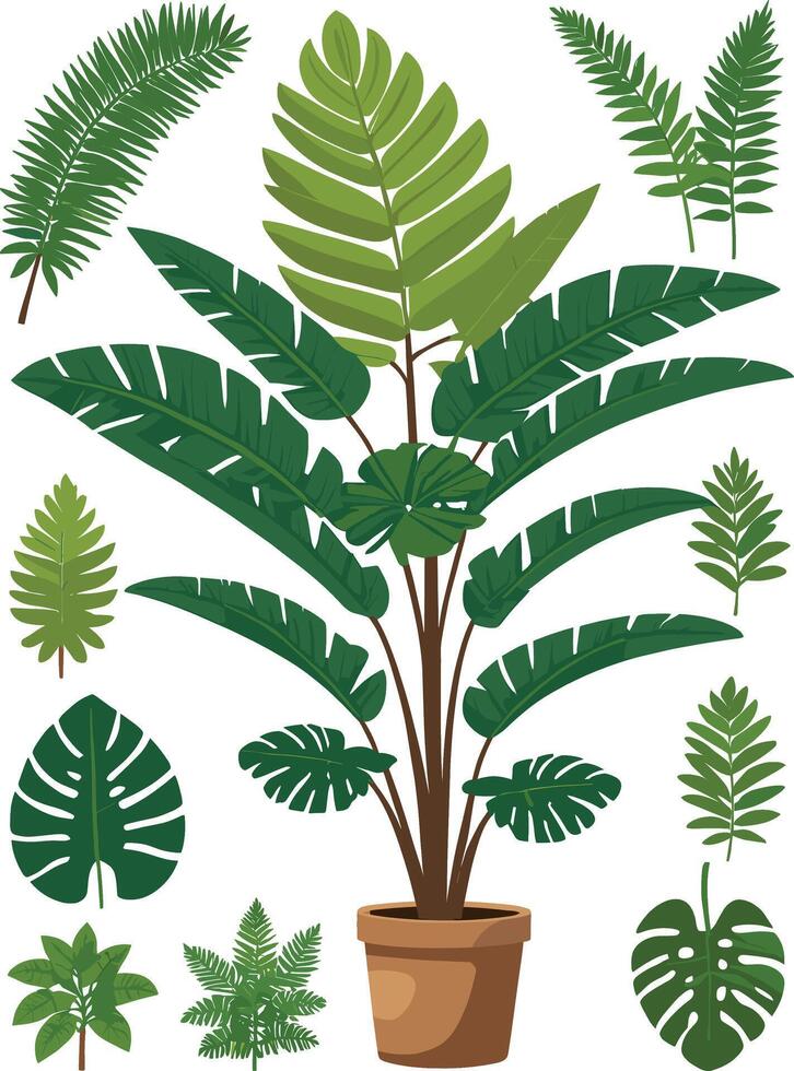 maison les plantes Accueil décor illustration ensemble. dessin animé mis en pot vert les plantes fleurs collection, plantes d'intérieur dans argile pot, pendaison décoratif vecteur