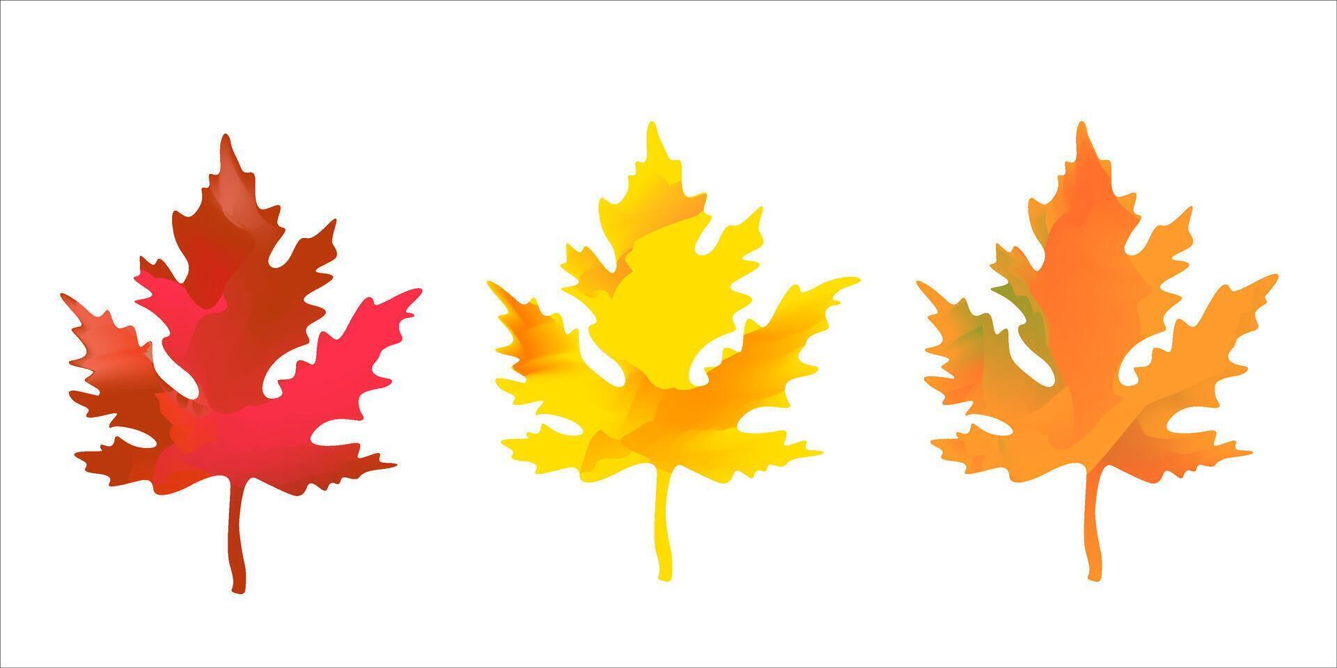 ensemble de isolé multicolore érable feuilles sur une blanc Contexte. l'automne dessins établi par pente engrener pour saisonnier remise et vente affiches. vecteur