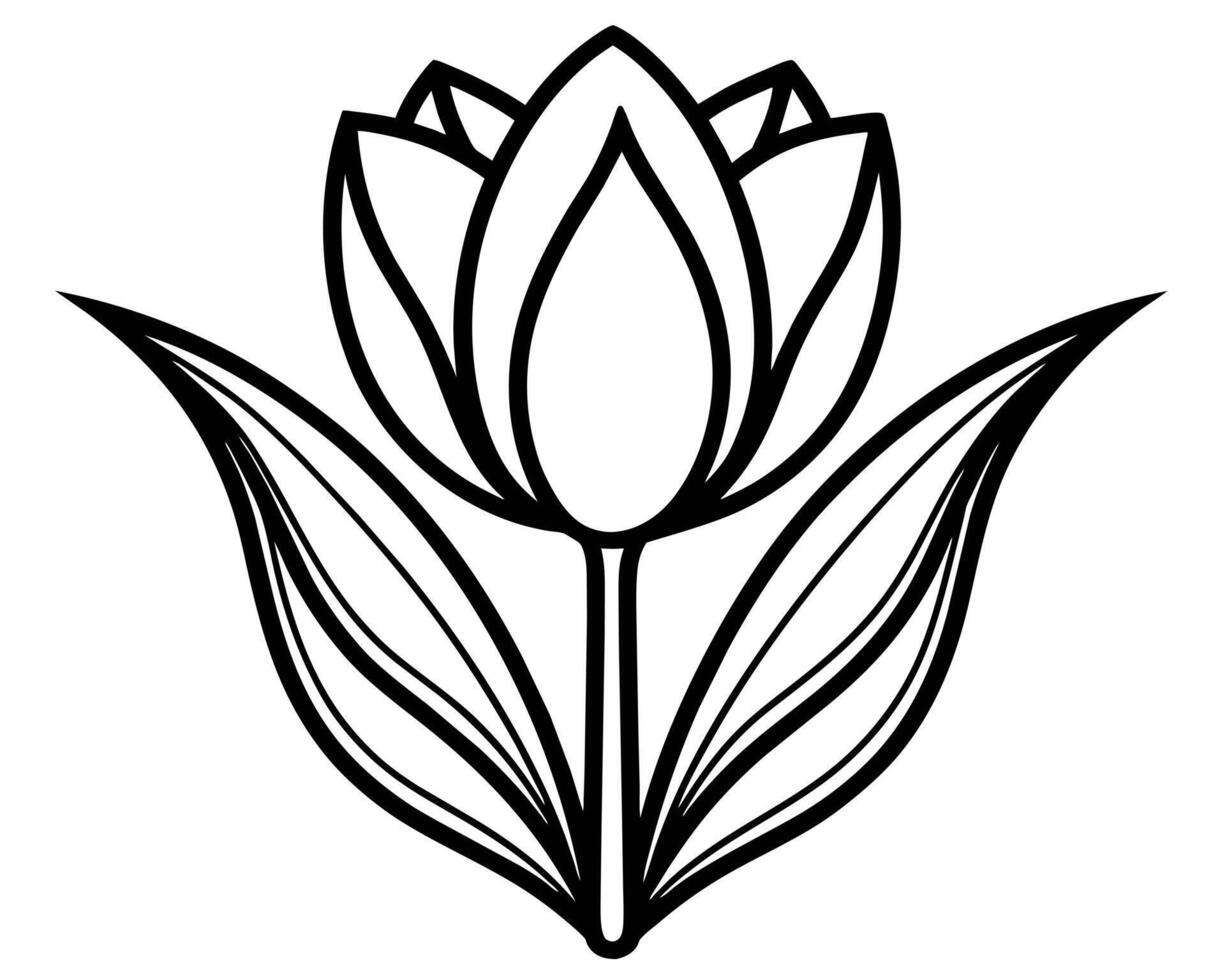 lotus fleur conception vecteur