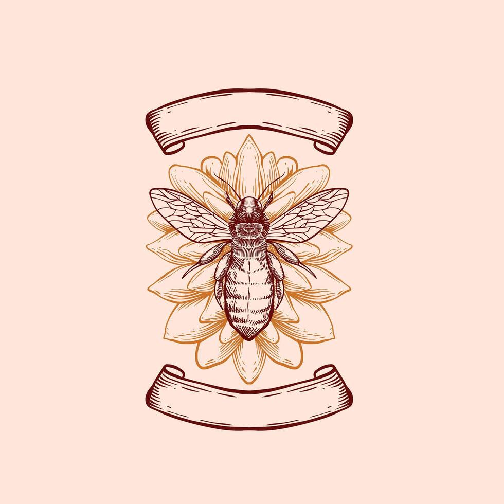 mon chéri abeille dessin gravure illustration vecteur