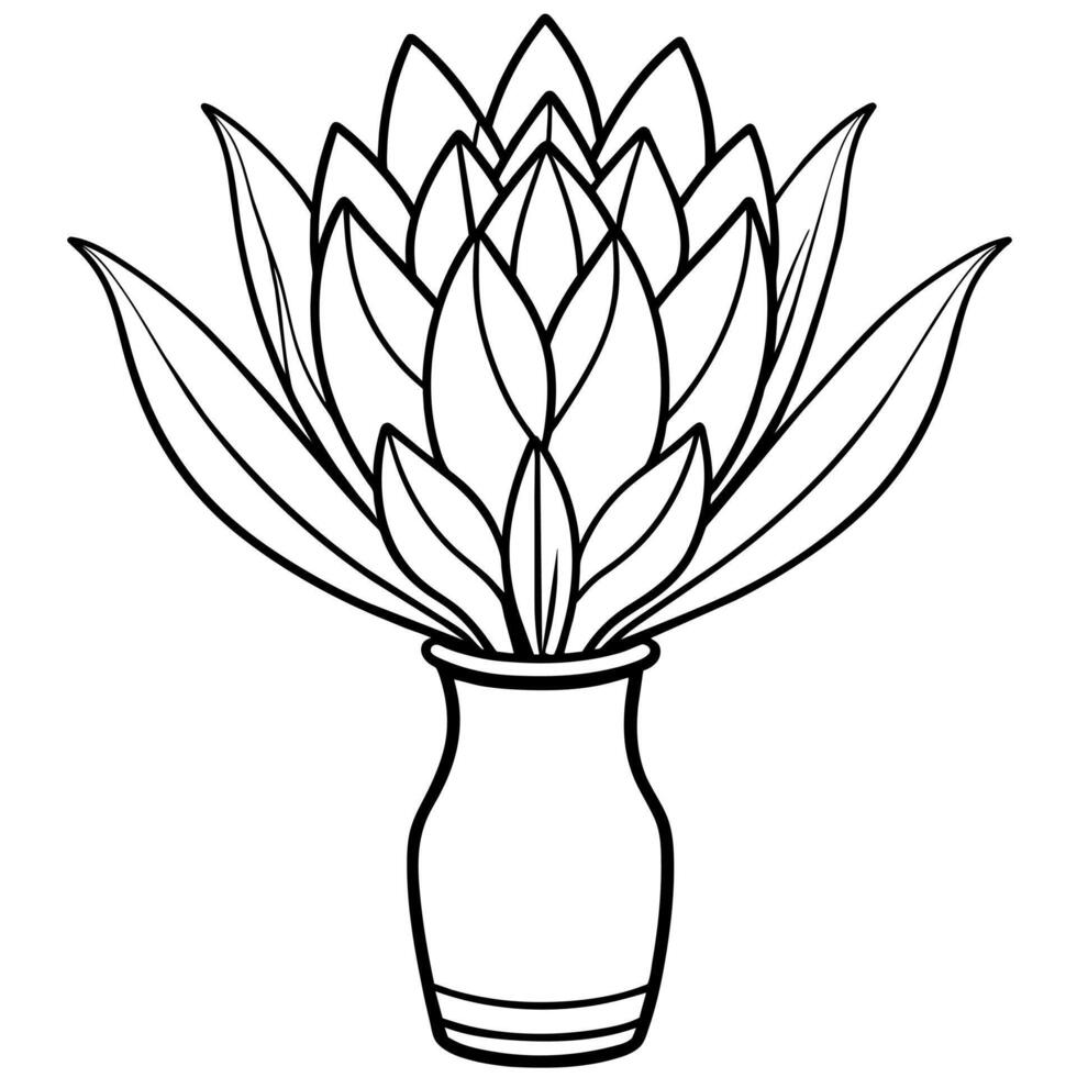 protea fleur contour illustration coloration livre page conception, protea fleur noir et blanc ligne art dessin coloration livre pages pour les enfants et adultes vecteur