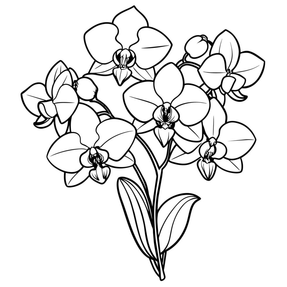 orchidée fleur contour illustration coloration livre page conception, orchidée fleur bouquet noir et blanc ligne art dessin coloration livre pages pour les enfants et adultes vecteur
