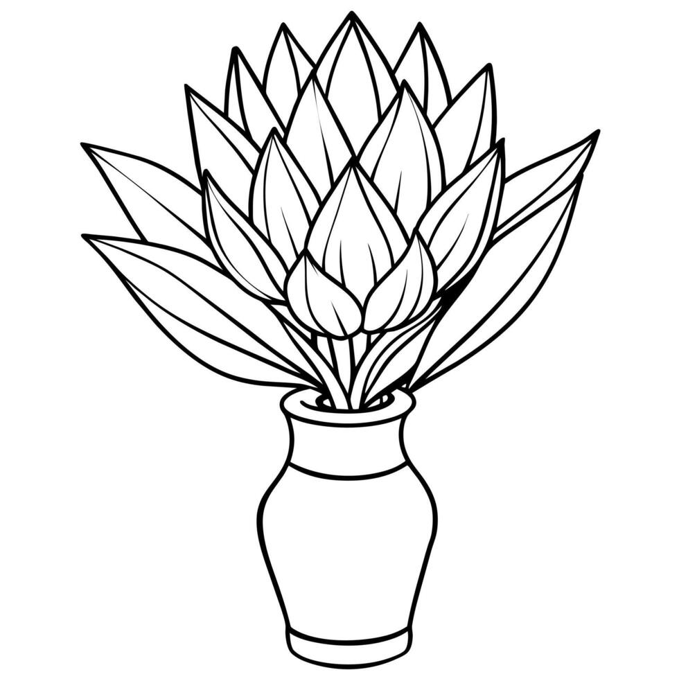 protea fleur contour illustration coloration livre page conception, protea fleur noir et blanc ligne art dessin coloration livre pages pour les enfants et adultes vecteur