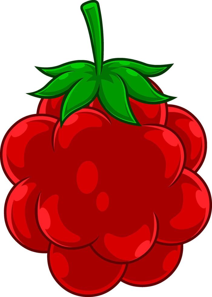 dessin animé framboise fruit vecteur