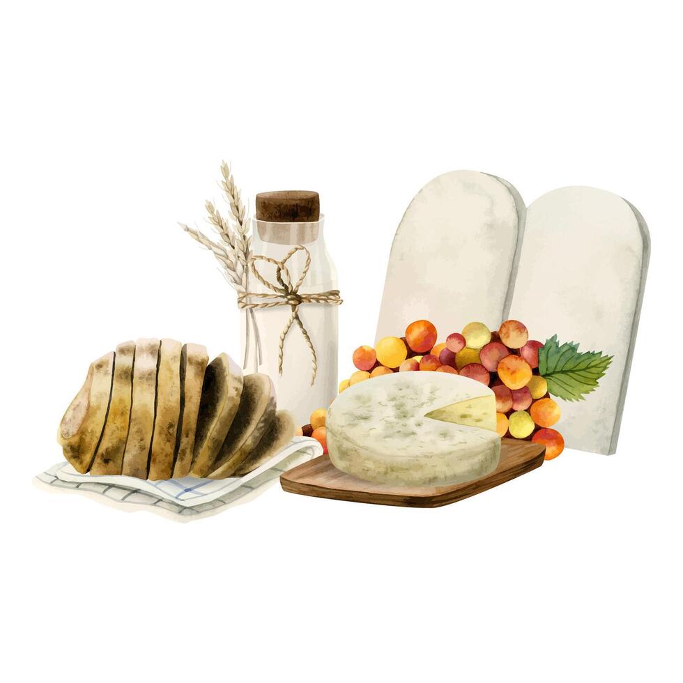 aquarelle chavouot salutation carte modèle avec vacances symboles, pierre comprimés, fromage, pain, lait. blé, les raisins vecteur
