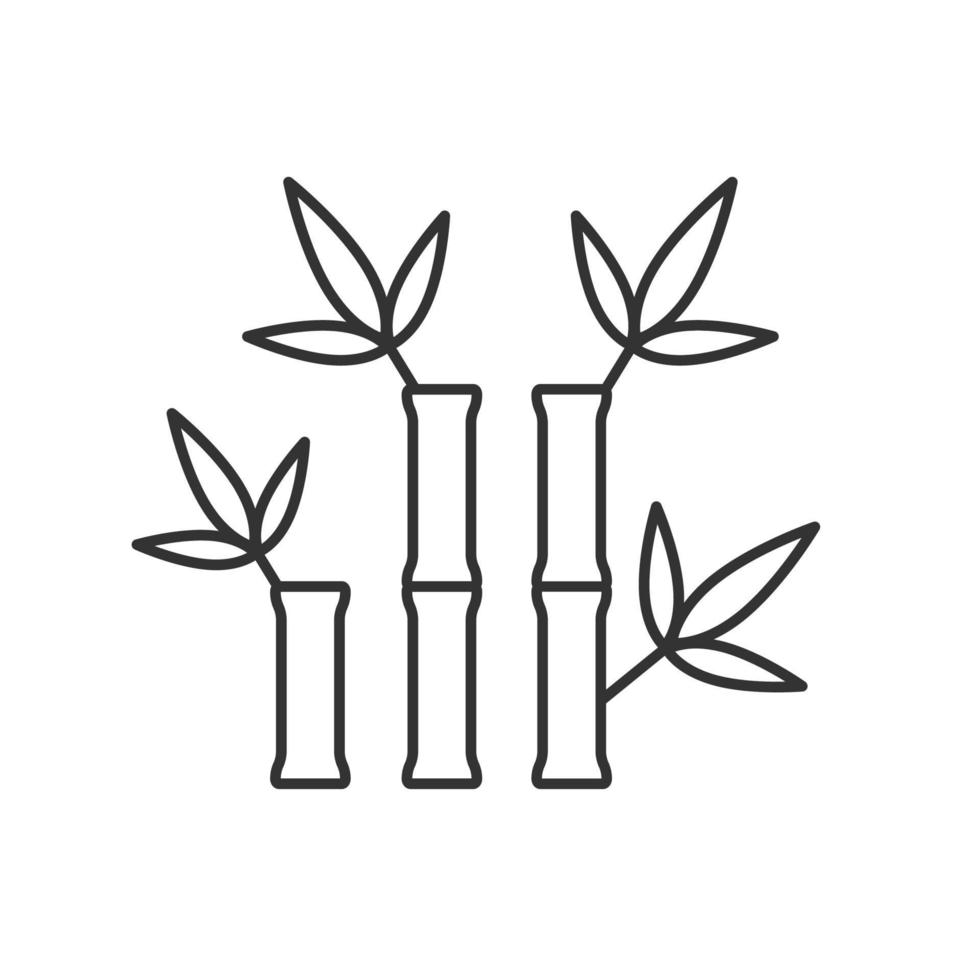 bâtons de bambou pour icône linéaire de massage. illustration de la ligne mince. symbole de contour de salon de spa. dessin de contour isolé de vecteur