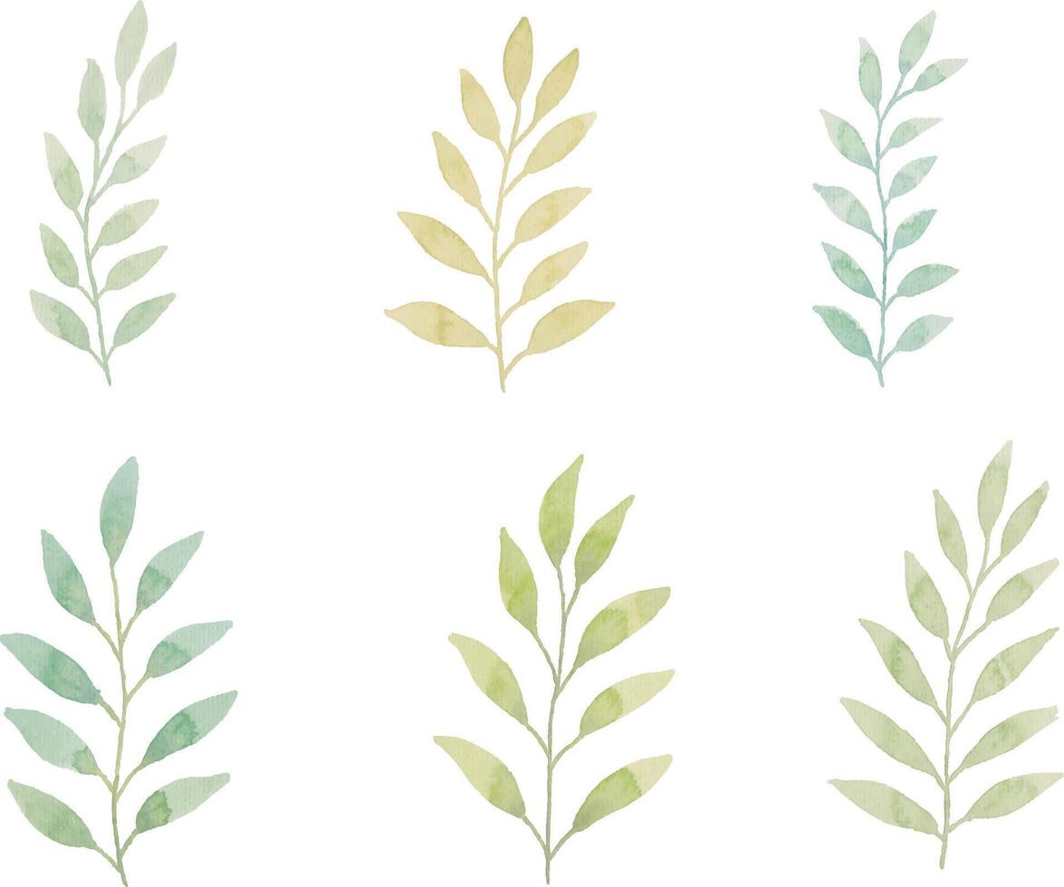 assortiment de aquarelle feuilles illustration ensemble - vert feuille branches collection pour mariage, salutations, Stationnaire, fonds d'écran, mode, Contexte. olive, vert feuilles, eucalyptus etc vecteur