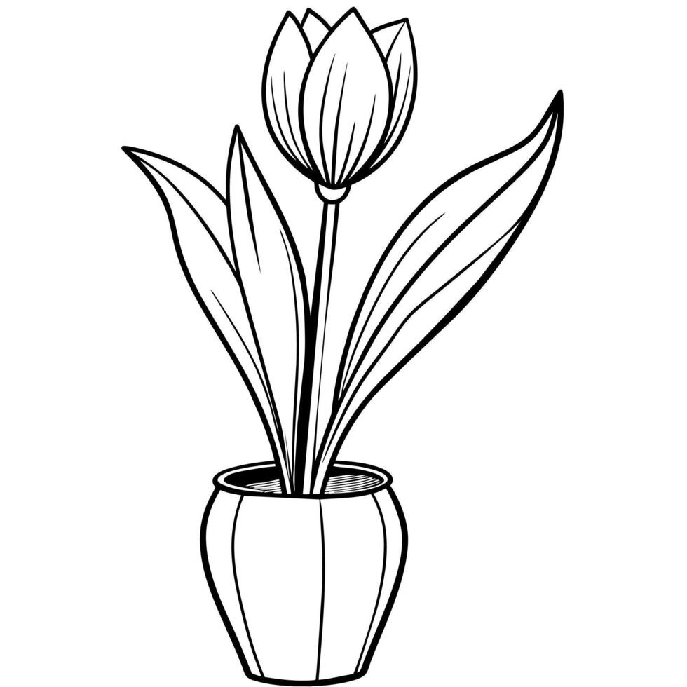 tulipe fleur contour illustration coloration livre page conception, tulipe fleur noir et blanc ligne art dessin coloration livre pages pour les enfants et adultes vecteur