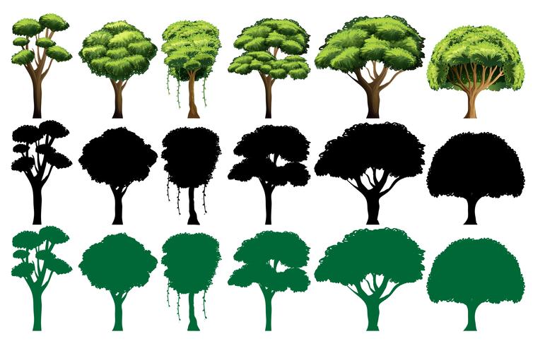 Ensemble de différents arbres vecteur