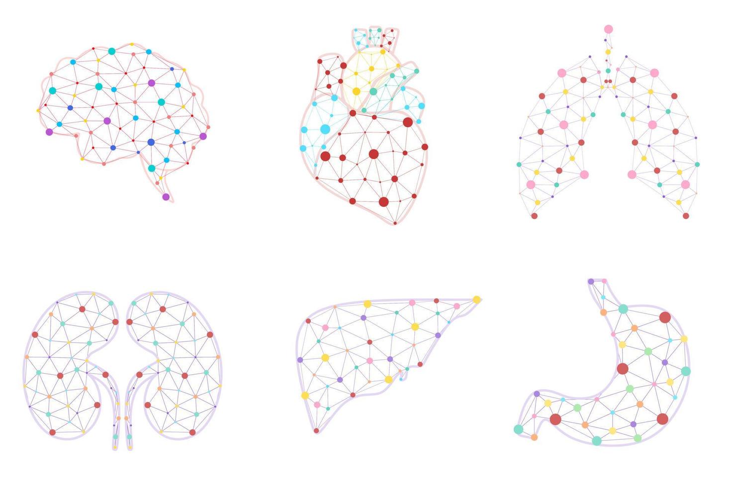 modèle de bannière low poly d'organes internes humains. cerveau, foie, estomac, cœur, poumons, reins illustration polygonale. affiche scientifique d'anatomie pour l'illustration vectorielle de mise en page de conception de manuel scolaire. vecteur