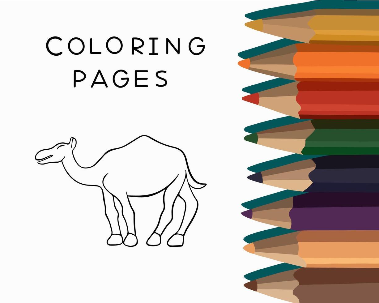 illustration de une chameau coloration page. coloration livre pour Jardin d'enfants. Tâches pour enfants d'âge préscolaire. vecteur