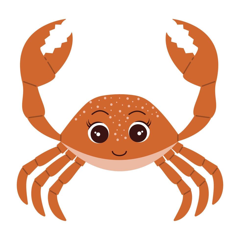 dessin animé mer Crabe océan animal exotique sous-marin mignonne créature Marin la vie isolé arrière-plans vecteur