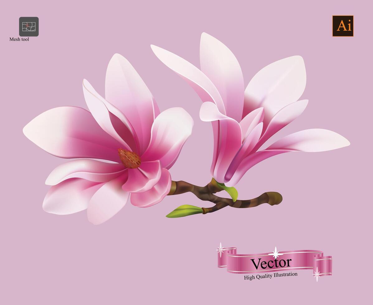 magnolia fleurs isolé. vecteur