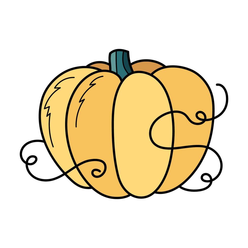 mignonne Jaune l'automne citrouille. main tiré illustration pour Halloween et action de grâces décoration. vecteur