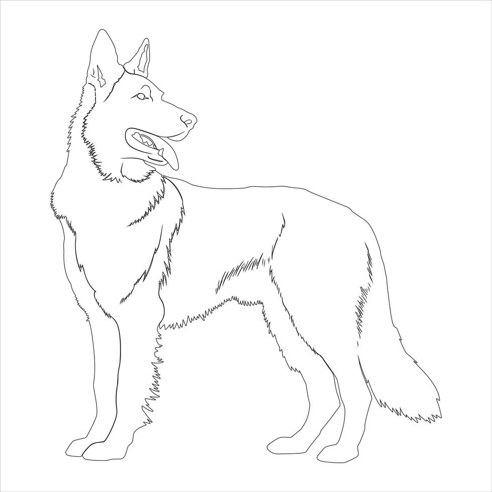 main tiré allemand berger chien contour illustration vecteur