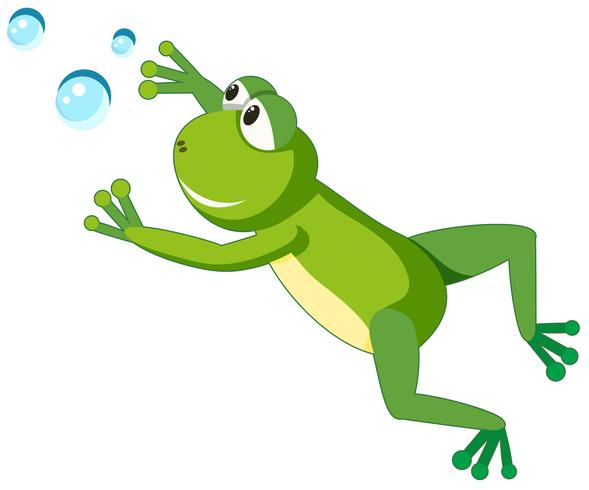 Un personnage de grenouille sur fond blanc vecteur