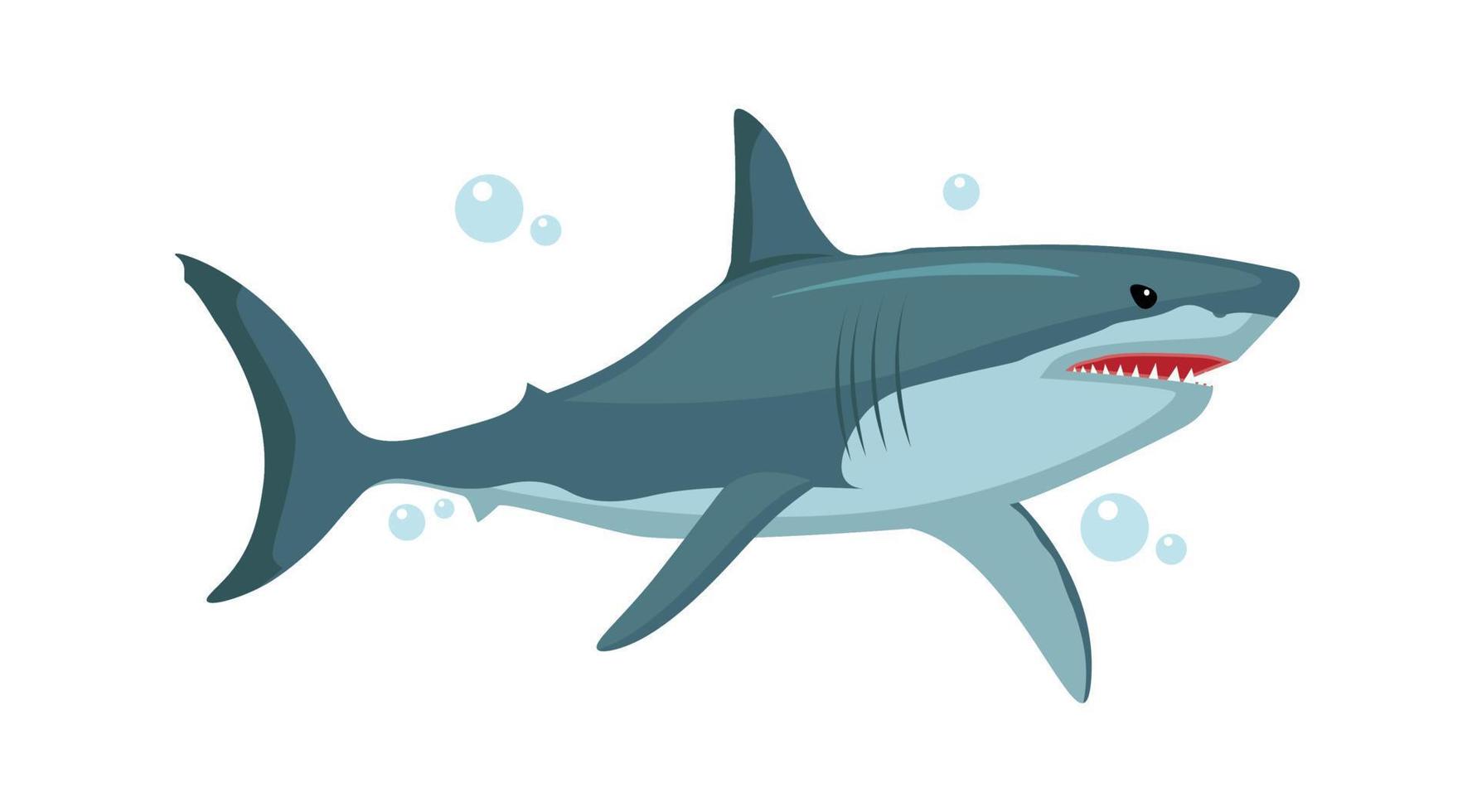 illustration de personnage de requin de vecteur