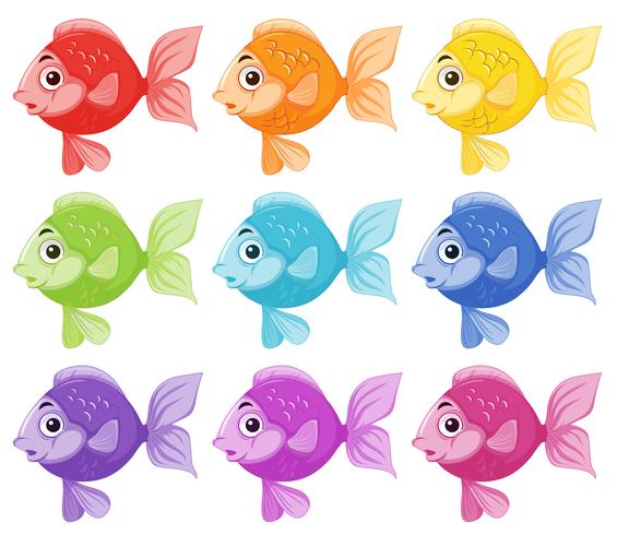 Ensemble de poissons colorés vecteur