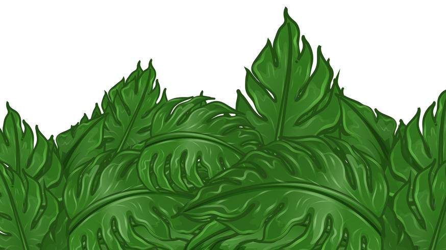 Design de fond avec des feuilles vertes vecteur