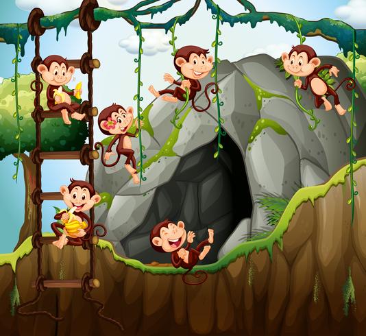 Scène avec des singes jouant dans la grotte vecteur