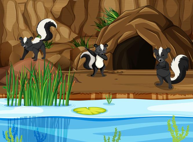 Groupe de skunk dans la nature vecteur