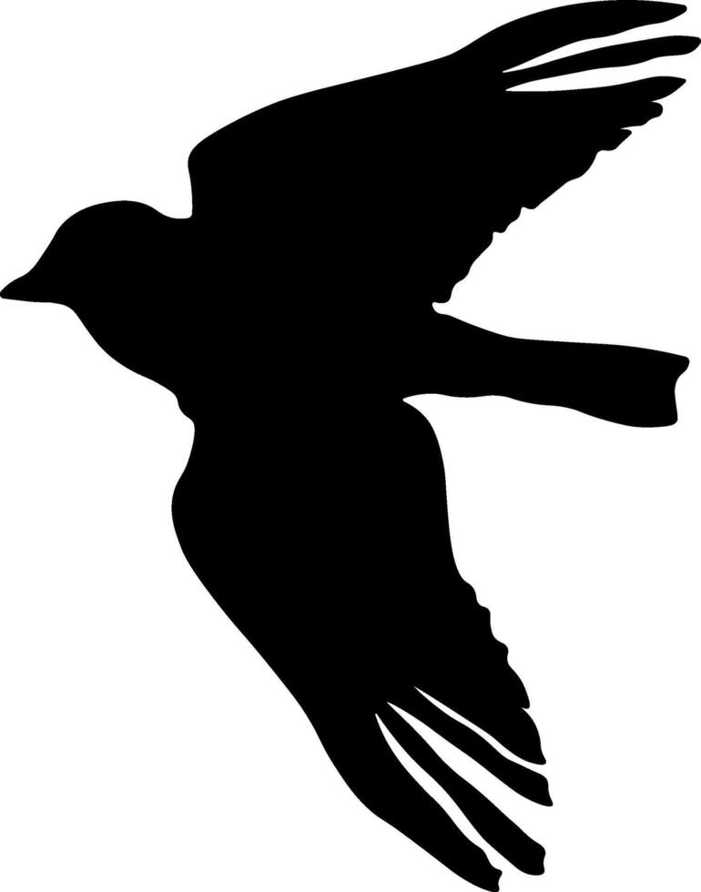 noir silhouette de une oiseau sans pour autant Contexte vecteur