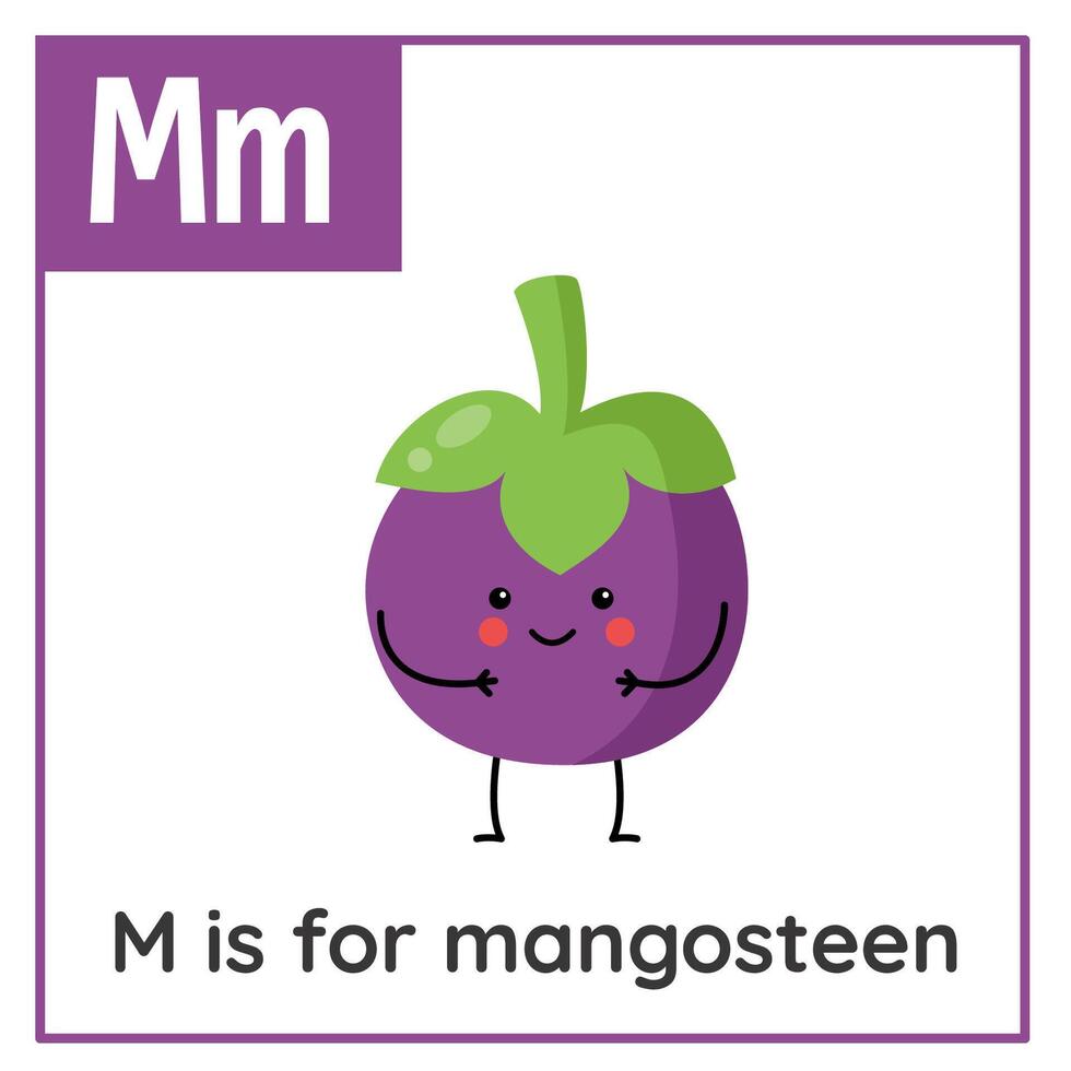 fruit et légume alphabet carte flash pour les enfants. apprentissage lettre M. m est pour mangoustan. vecteur