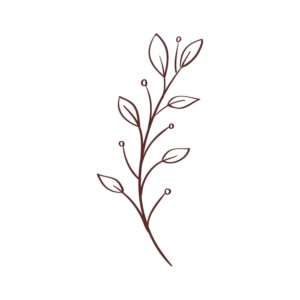 Branche avec l'icône isolé de la nature des feuilles vecteur