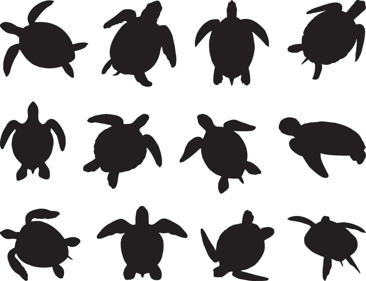 mer tortue silhouette sur blanc Contexte vecteur