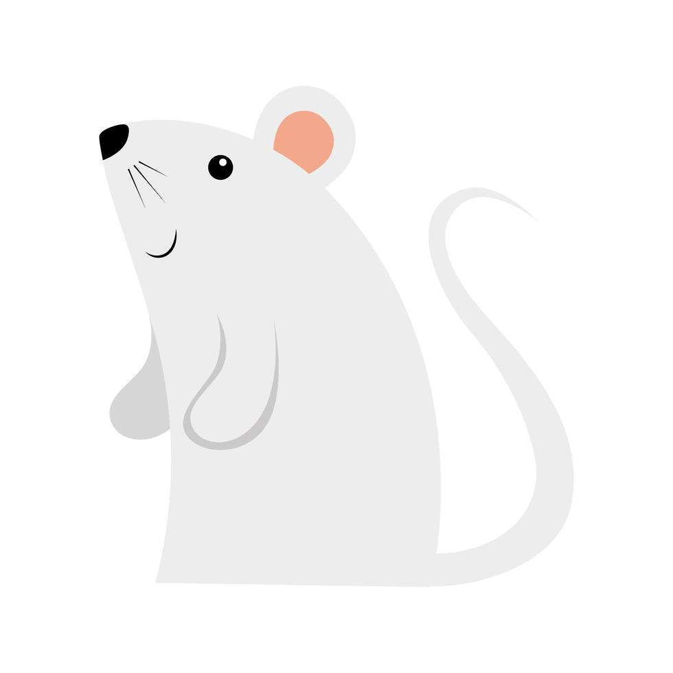 icône isolée de rat rongeur mignon vecteur