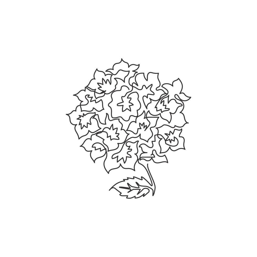 Dessin d'une seule ligne beauté lantana fraîche pour la décoration murale de la maison affiche d'art. concept de fleur de verveine arbuste décoratif pour carte d'invitation. ligne continue moderne dessiner illustration vectorielle de conception vecteur