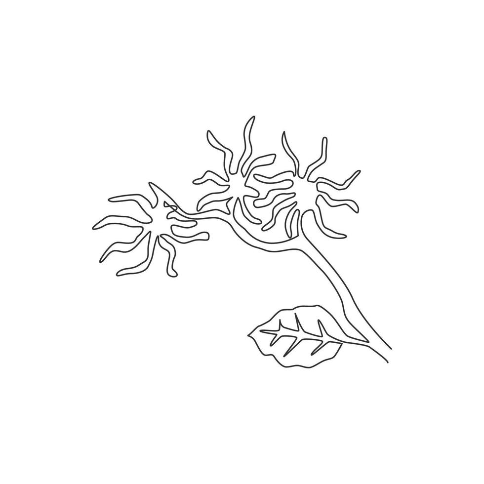 Dessin au trait continu unique beauté hamamélis frais pour l'impression d'affiches d'art de décoration murale à la maison. concept de plante noisette claquante décorative pour carte florale. Une ligne moderne dessiner illustration vectorielle de conception vecteur