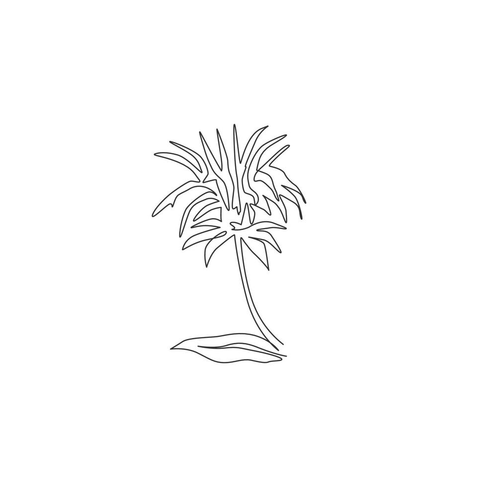 dessin au trait continu unique de la beauté fraîche de la monarda pour le logo du jardin. concept de fleur de thé oswago menthe équestre décorative pour cadre de carte d'invitation floral. Une ligne moderne dessiner illustration vectorielle de conception vecteur