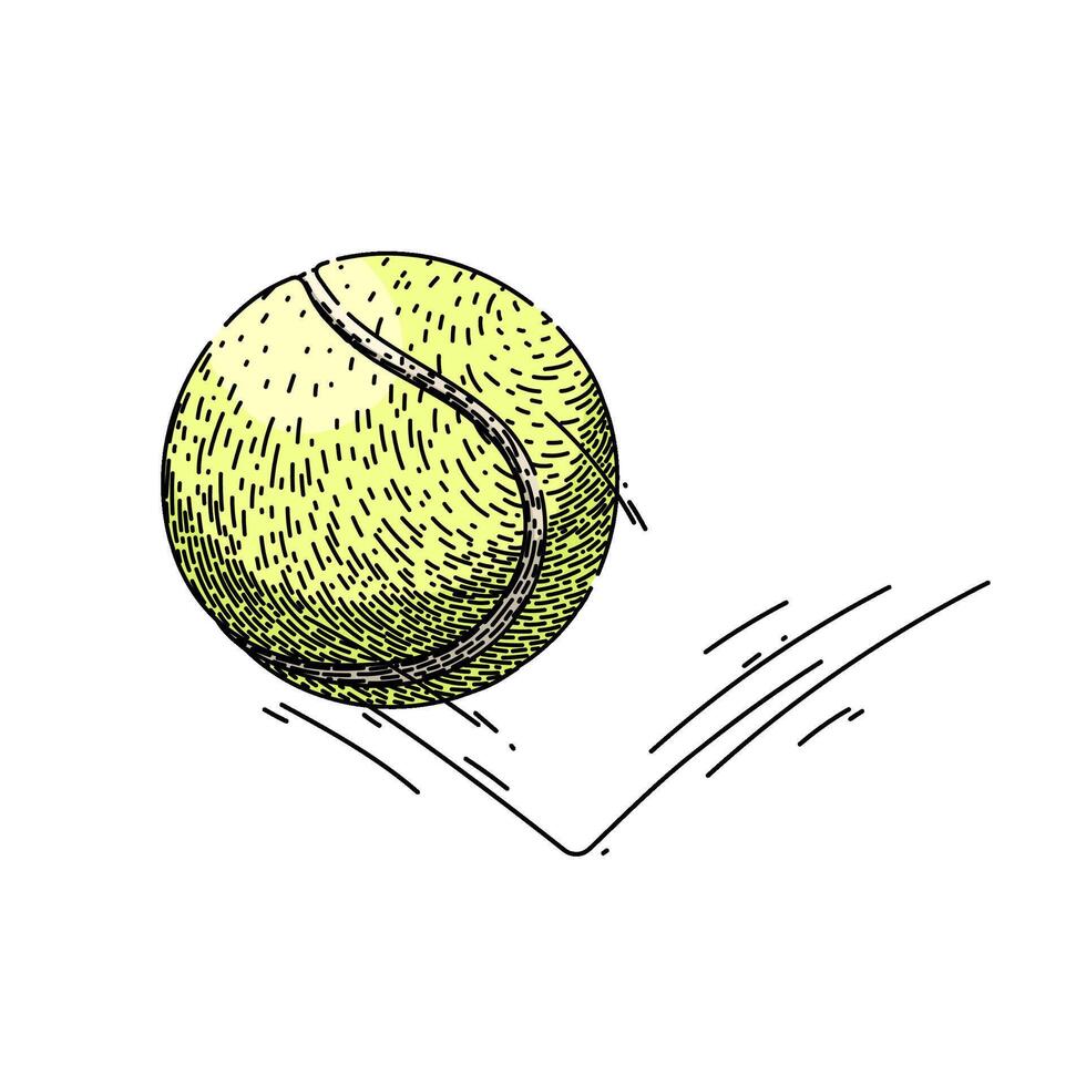 isolé tennis Balle esquisser main tiré vecteur