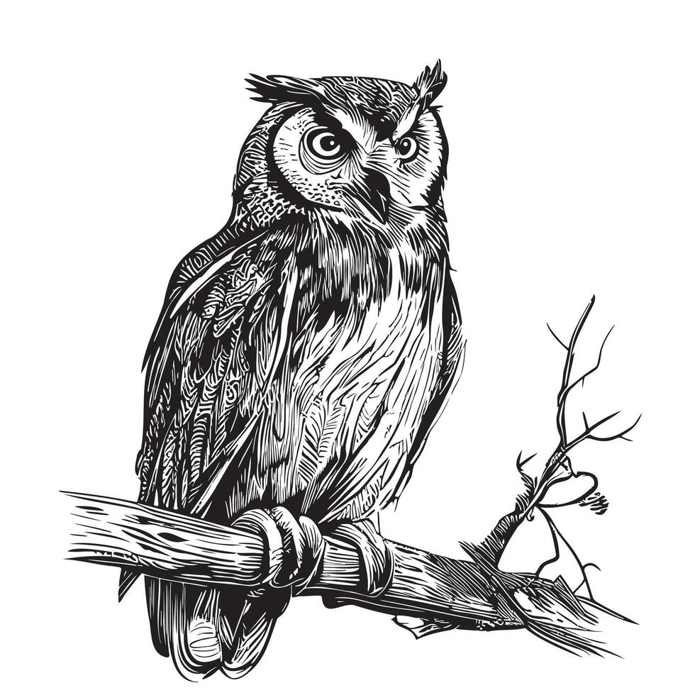 hibou oiseau sur une branche esquisser main tiré dans griffonnage style illustration vecteur