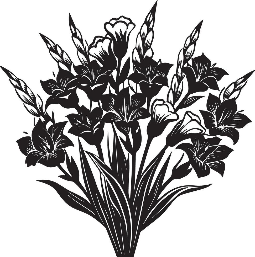 bouquet de glaïeul fleurs. noir et blanc illustration. vecteur