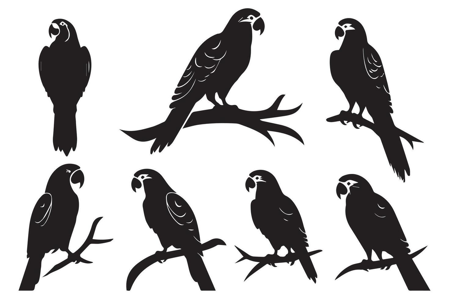 noir silhouette ensemble de perroquet sur une blanc Contexte gratuit conception vecteur