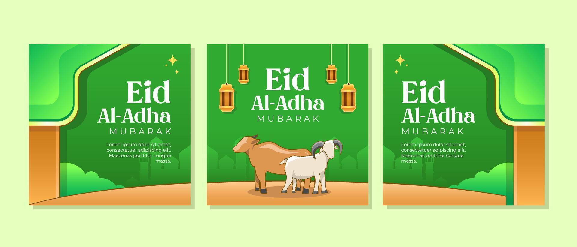eid Al adha social médias des postes modèle vecteur