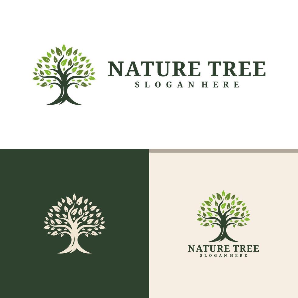 arbre logo conception . la nature des arbres illustration. vecteur