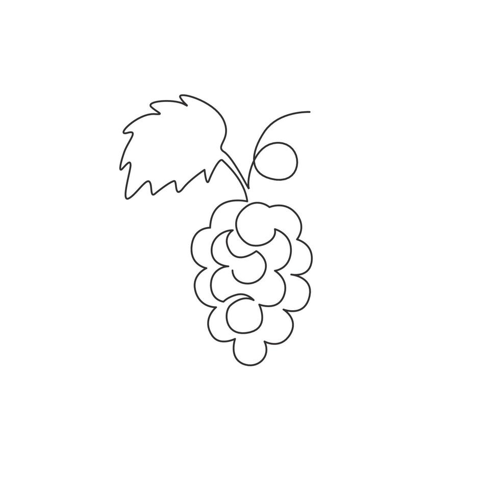 une ligne continue dessinant des raisins biologiques sains pour l'identité du logo du vignoble. concept de fruitage tropical frais pour l'icône de jardin de verger de fruits. Illustration graphique de vecteur de dessin de ligne unique moderne