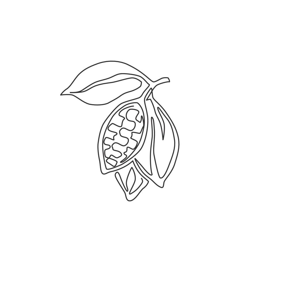 dessin d'une seule ligne continue de fèves de cacao biologiques entières et saines pour l'identité du logo de la plantation. concept de cacao frais pour l'icône de la chocolaterie. Une ligne moderne dessiner illustration graphique vectorielle de conception vecteur