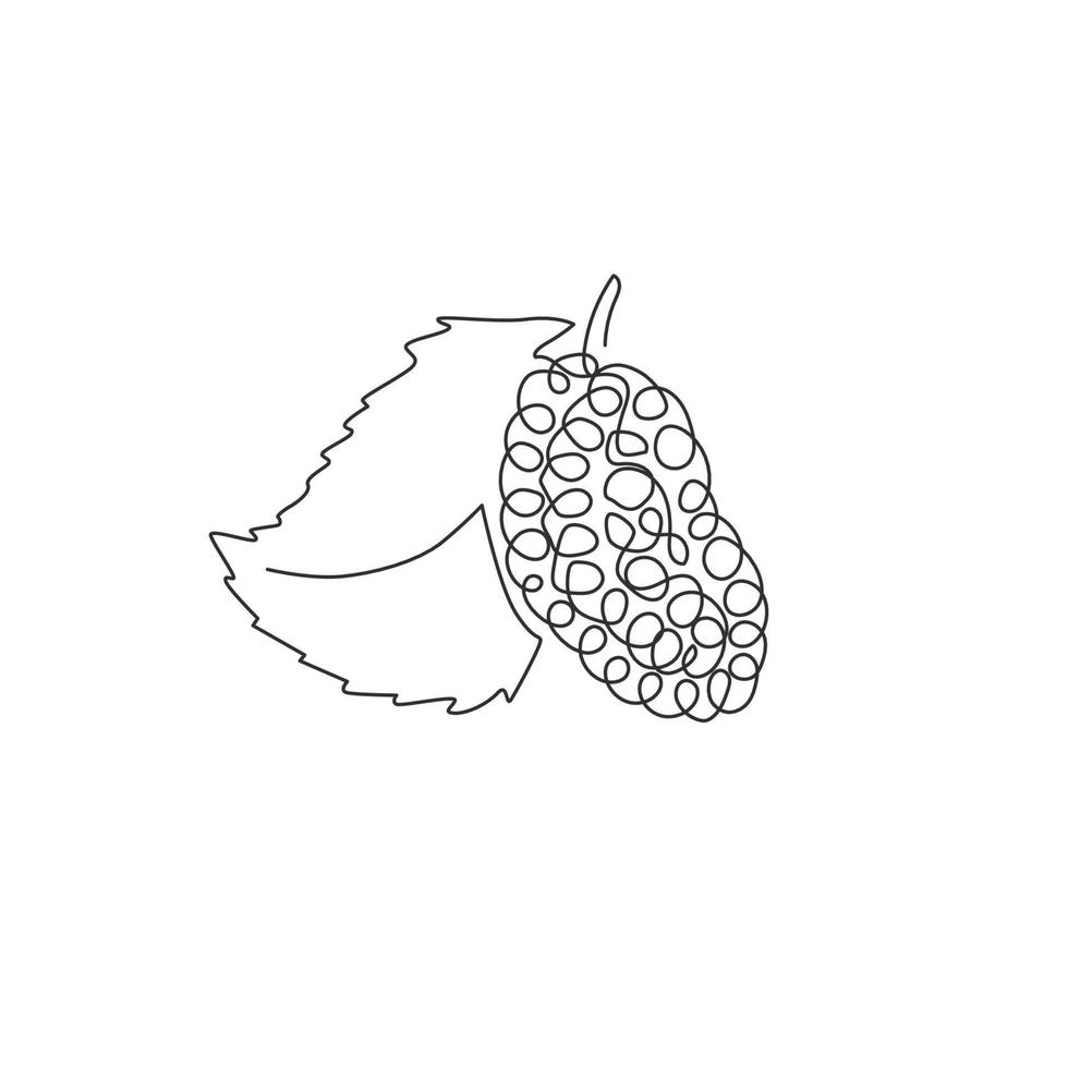 un seul dessin au trait de l'ensemble des produits biologiques sains pour l'identité du logo du mûrier du verger. concept de fruitage de baies fraîches pour l'icône de jardin de fruits. ligne continue moderne dessiner illustration graphique vectorielle de conception vecteur