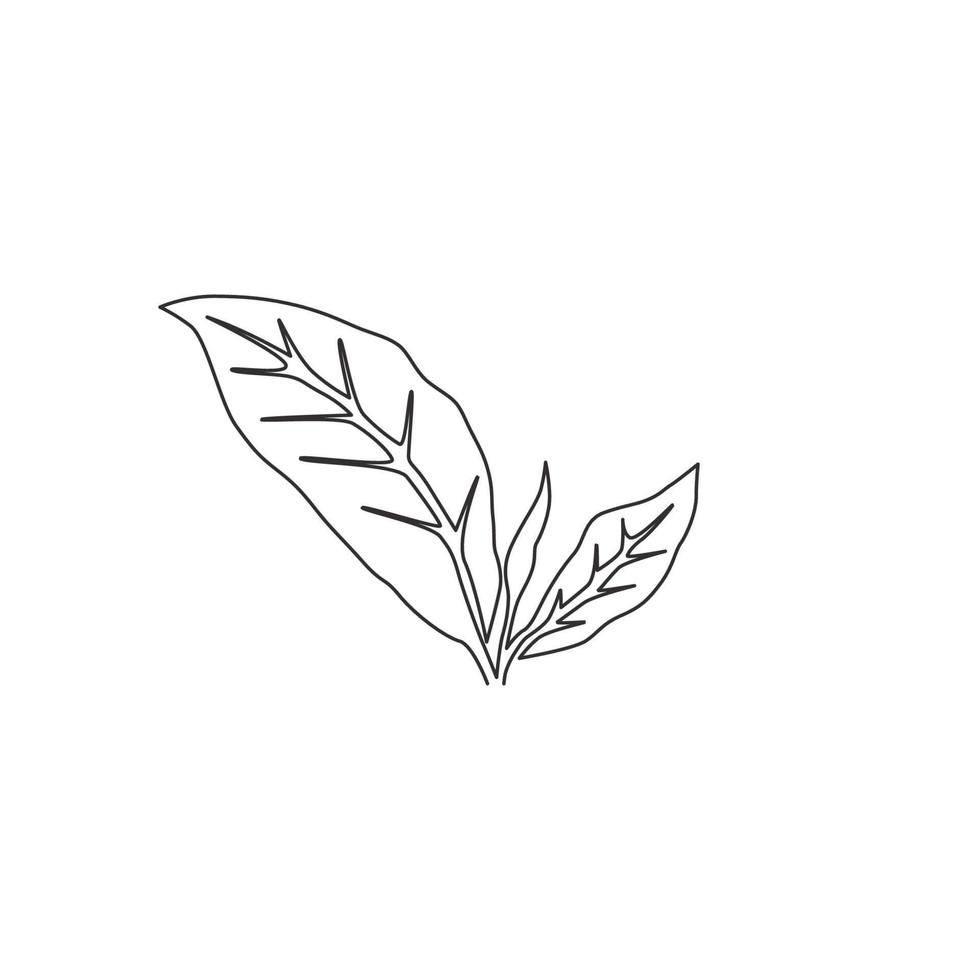 une seule ligne continue dessinant des feuilles de thé biologiques saines pour l'identité du logo de la plantation. bourgeon tendre frais du concept de pousse de thé pour l'icône de feuille de thé. Une ligne moderne dessiner illustration vectorielle de conception graphique vecteur