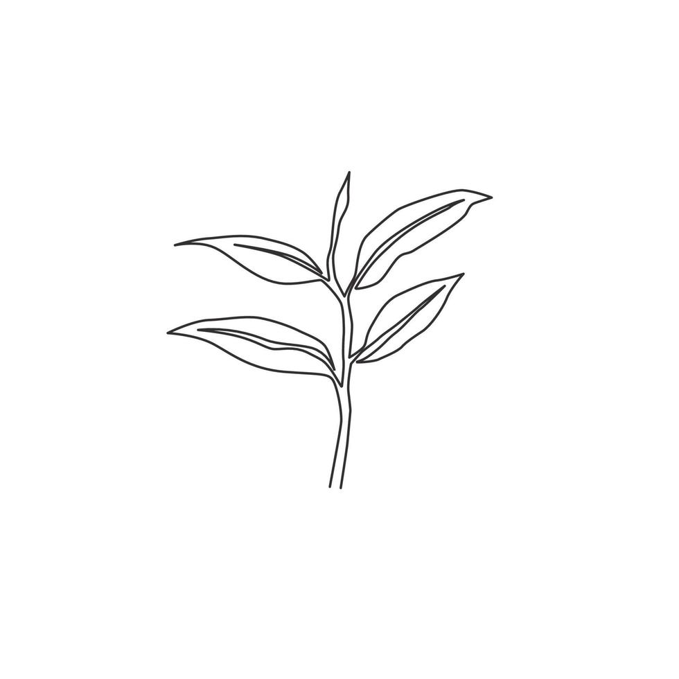 une seule ligne dessinant des feuilles de thé biologiques saines pour l'identité du logo de la plantation. bourgeon tendre frais du concept de pousse de thé pour l'icône de feuille de thé. ligne continue moderne dessiner illustration vectorielle graphique vecteur