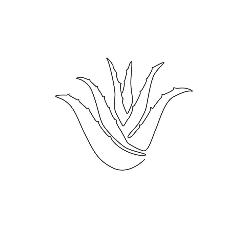 un seul dessin d'aloe vera vert biologique sain pour l'identité du logo de la ferme. concept de plante succulente tropicale fraîche pour l'icône agricole. ligne continue moderne dessiner illustration vectorielle de conception vecteur