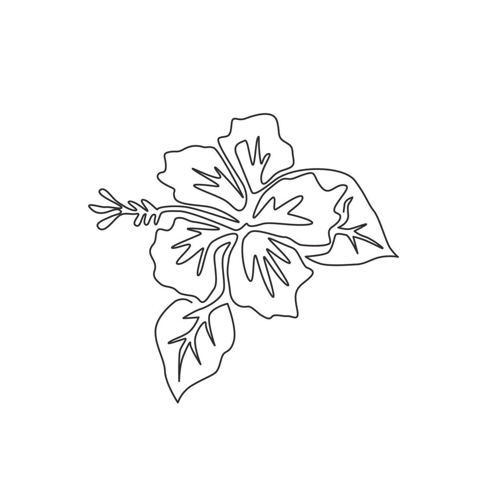 dessin au trait continu unique d'hibiscus frais de beauté pour le logo du parc. affiche décorative imprimable de décoration murale de concept de fleur de mauve rose. Une ligne moderne dessiner illustration vectorielle graphique de conception vecteur